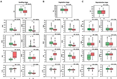 Determination of traits responding to iron toxicity stress at different stages and genome-wide association analysis for iron toxicity tolerance in rice (Oryza sativa L.)